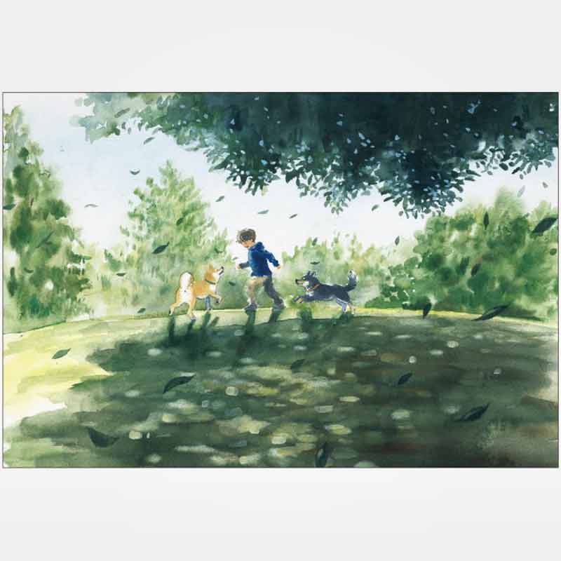 Shiba-inu - Het begin van de reis